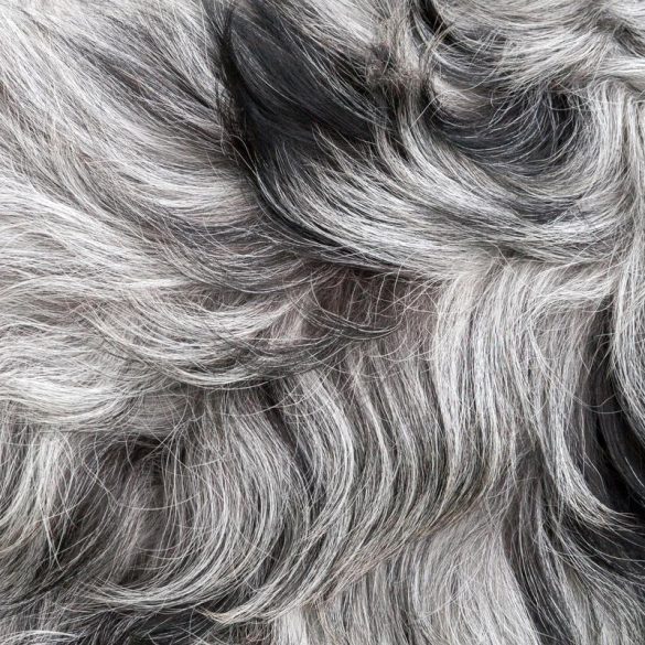 موهای خاکستری