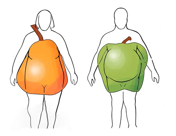 تفاوت فرم بدن گلابی و فرم بدن سیب
